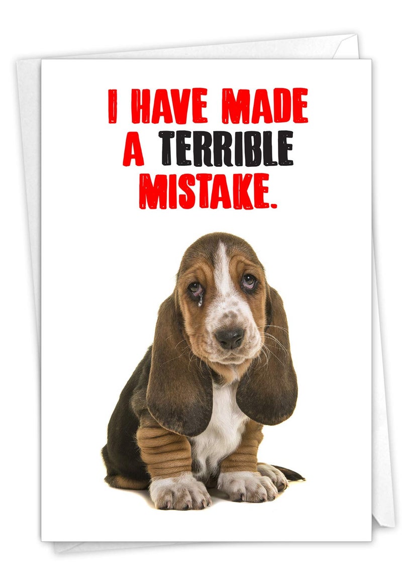 NobleWorks - I'm Sorry Greeting Card with Envelope - Funny Forgive Me Notecard - Terrible Mistake C7220SRG - Image 1