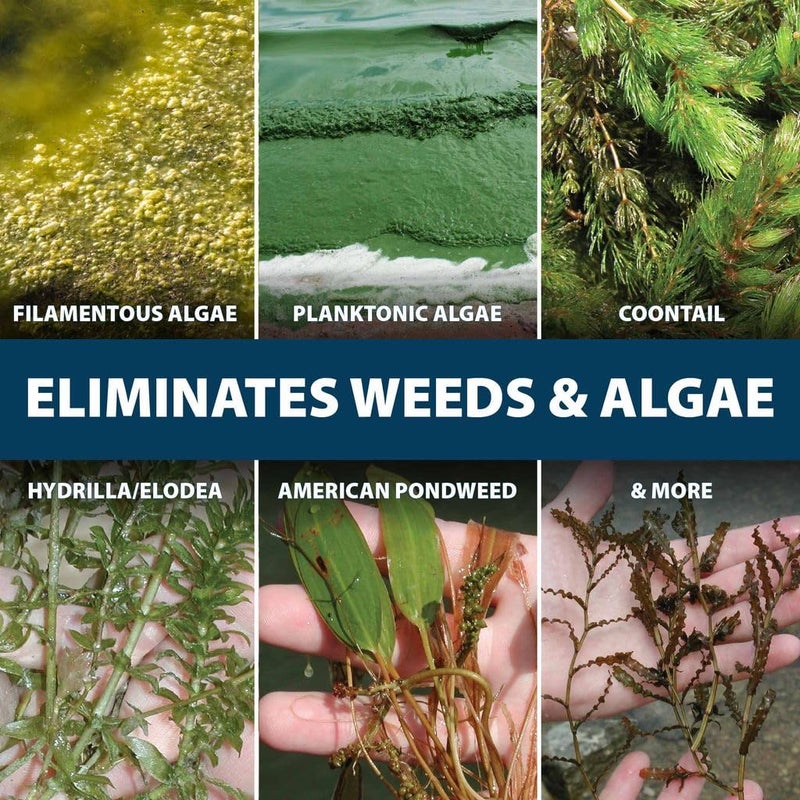 Airmax EasyKlear Pond & Lake Algae & Weed Vegetation Control, 2-in-1 Broad Spectrum Aquatic Herbicide & Algaecide Granular Water Treatment, 15 Pounds - Image 4