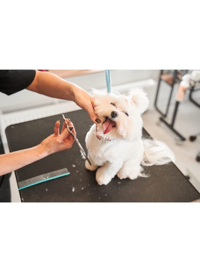 Trixie Professional Trimming Scissors, Stainless Steel Pet Grooming Scissors, Used For Shortening And Shaping The Fur Length - 20Cm - Image 5