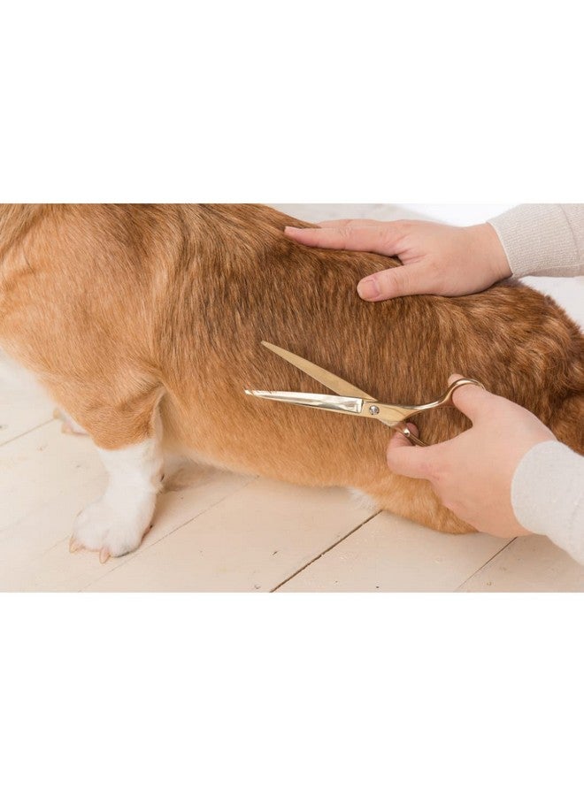 Trixie Professional Trimming Scissors, Stainless Steel Pet Grooming Scissors, Used For Shortening And Shaping The Fur Length - 20Cm - Image 4