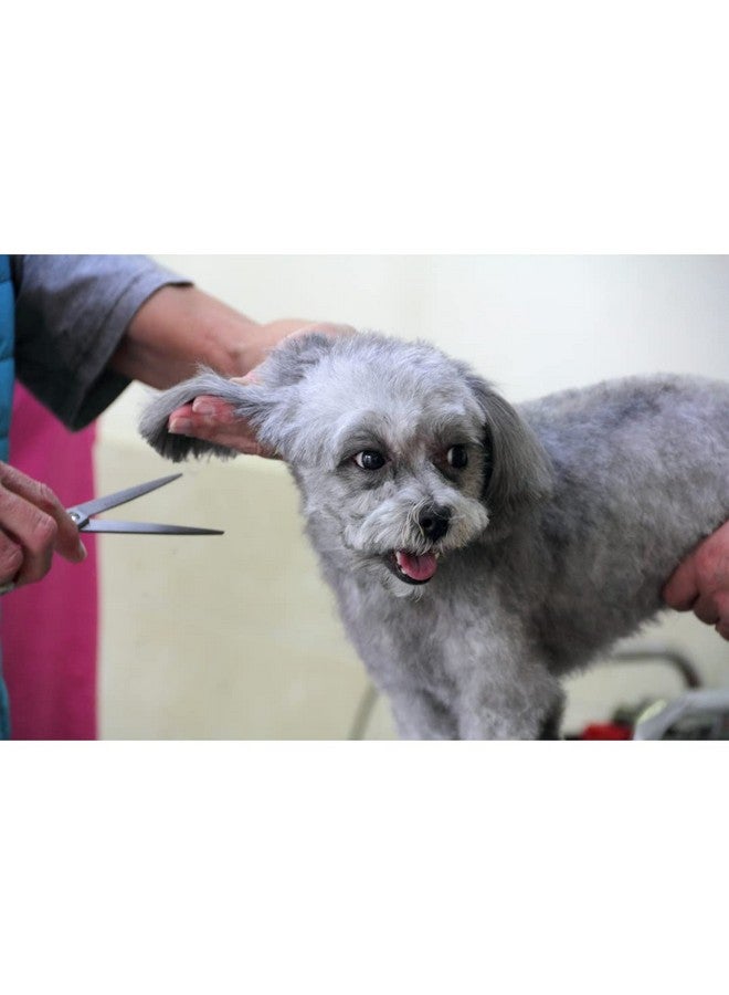 Trixie Professional Trimming Scissors, Stainless Steel Pet Grooming Scissors, Used For Shortening And Shaping The Fur Length - 20Cm - Image 3