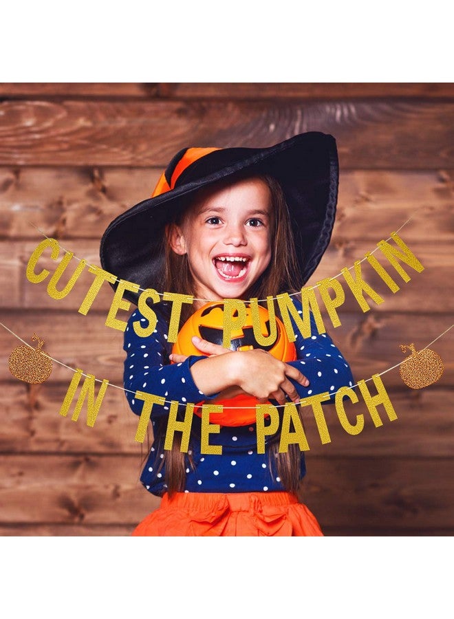 LeeSky Gold Glittery Cutest Pumpkin In The Patch Banner - Fall Pumpkin Theme, 6" x 4" Rectangular Indoor/Outdoor Banner for Halloween, Thanksgiving, Birthday & Baby Shower - Image 3