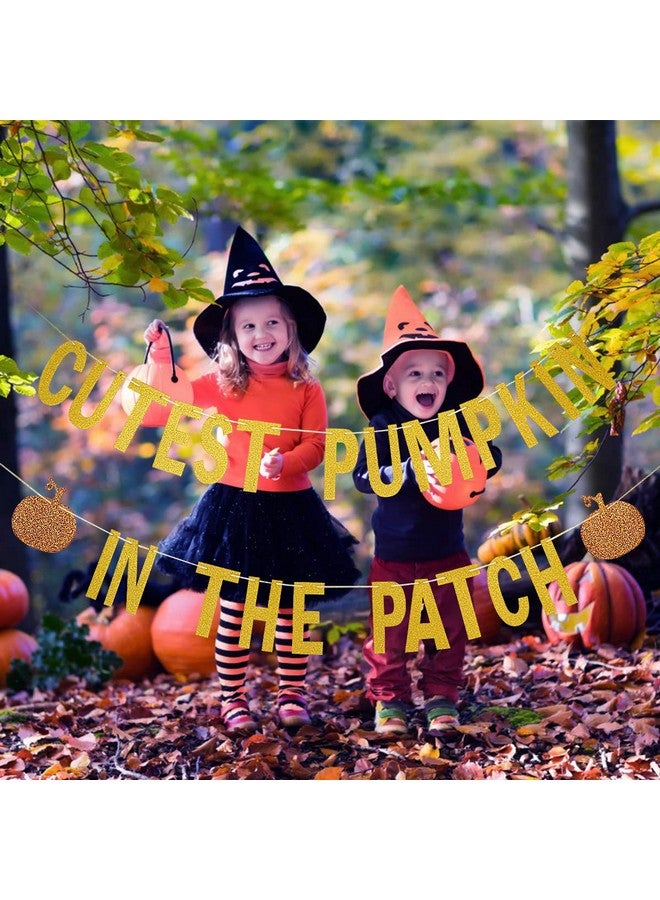 LeeSky Gold Glittery Cutest Pumpkin In The Patch Banner - Fall Pumpkin Theme, 6" x 4" Rectangular Indoor/Outdoor Banner for Halloween, Thanksgiving, Birthday & Baby Shower - Image 2
