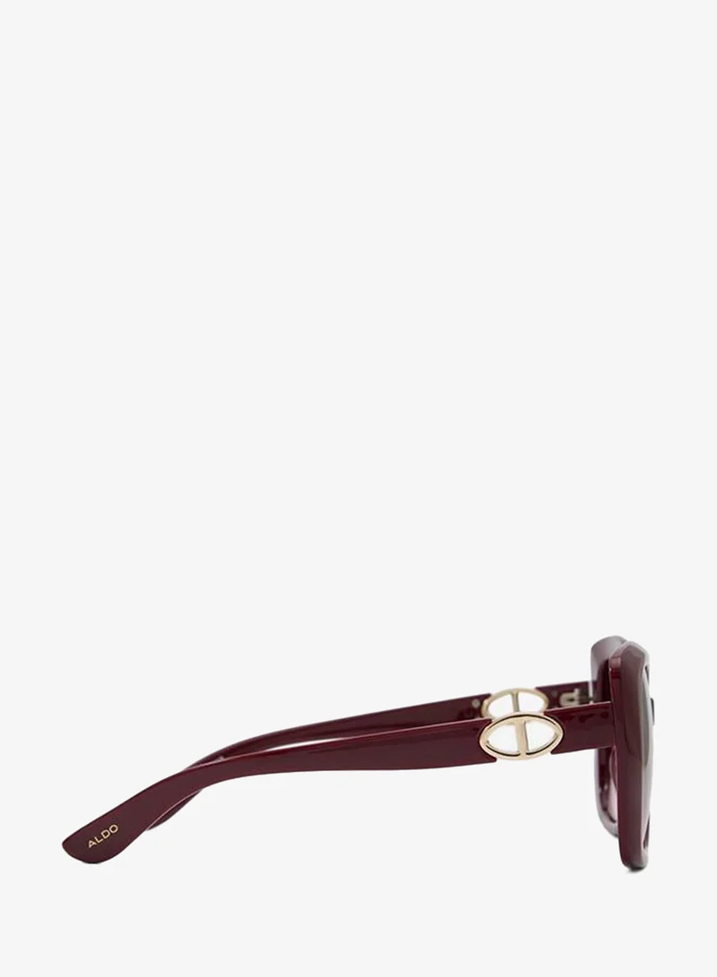Aldo  Katelynn Ladies Red Sunglasses for Women | Best Price UAE