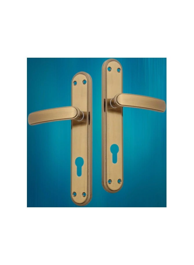Marquis 2 Piece Door Handle Set with Cylinder Head 