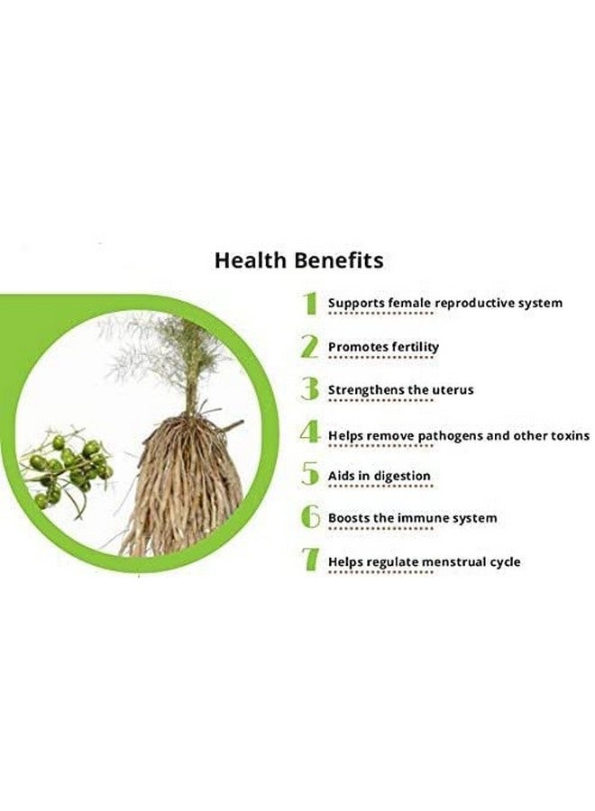 Saara HERBAL FRESH Thaneervittan Kilangu Roots, 1000g, Dried Shatavari Root, Muslikaralakam, Asparagus Racemosus Root,(pack of 10 x 100g) - Image 5