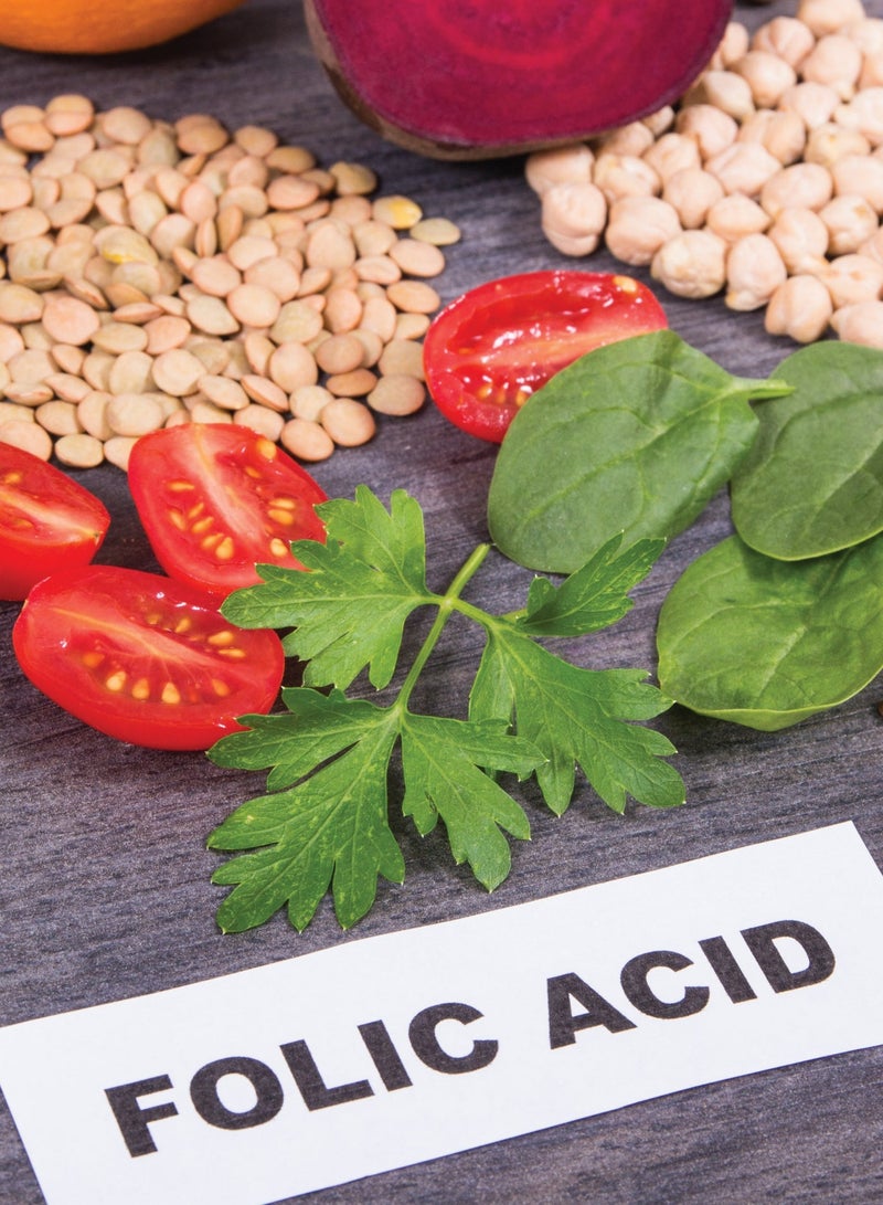 سوليندا فوليكو – لاكتوفرين مع حمض الفوليك وفيتامينات متعددة – بنكهة التوت الأسود – 20 زجاجة - Image 3