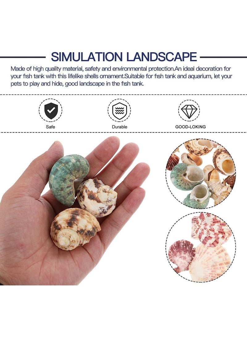 Mumoo Bear Mixed Sea Shells, 200g Beach Seashells Starfish, Various Sizes Ocean Seashells for Fish Tank Vase Fillers, Beach Theme Party Wedding Decor, Candle Making, DIY Crafts, Home Decorations