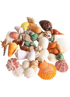 Mumoo Bear Mumoo Bear Mixed Sea Shells, 200g Beach Seashells Starfish, Various Sizes Ocean Seashells for Fish Tank Vase Fillers, Beach Theme Party Wedding Decor, Candle Making, DIY Crafts, Home Decorations  - Image 1