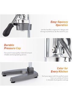 Professional Manual Metal Hand Citrus Juicer Lemon Squeezer Lime Orange Pomegranate Grapefruit Fresh Healthy Juice Presser Extractor without Seeds Juicing Machine For Commercial And Household - pzsku/Z0A33F14C6D5FE23366D9Z/45/_/1732541232/cbcac64c-c2e1-4fe1-bfc6-10bc270196ed