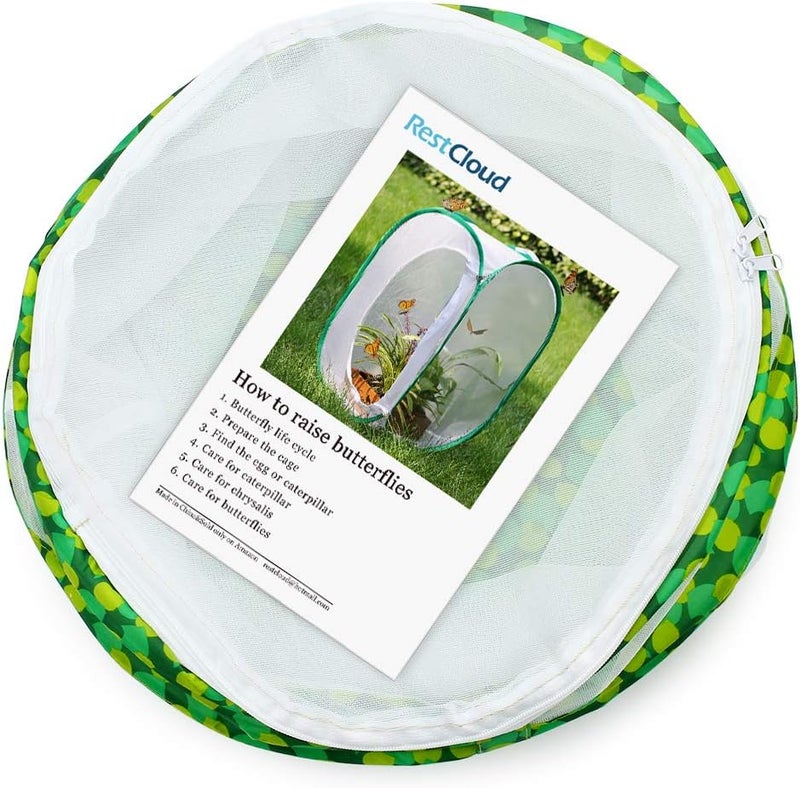 RESTCLOUD Insect and Butterfly Habitat Cage Terrarium Pop-up 12" x 14" Tall - Image 3