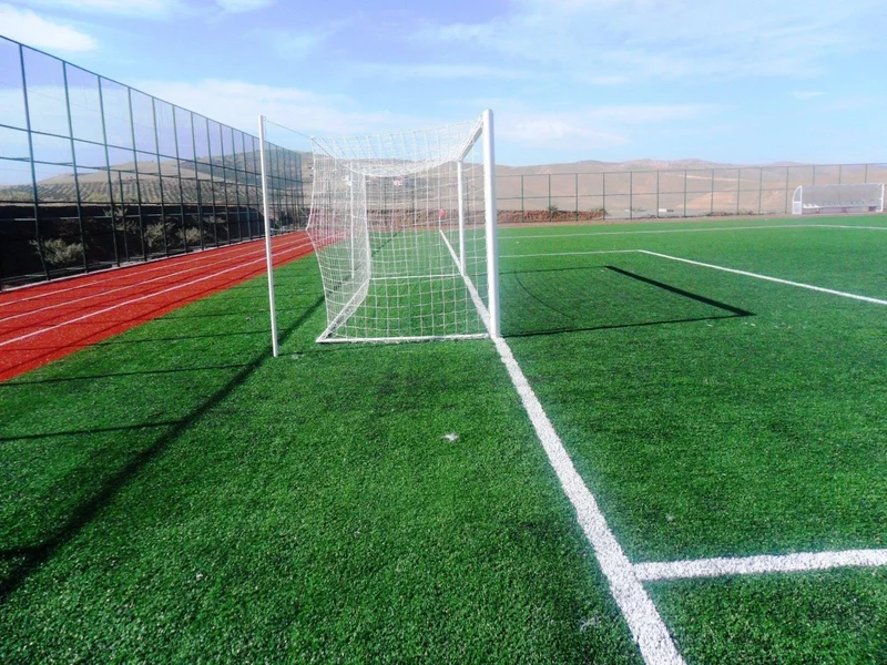 adelinspor Gold Football Goal Net 7.32*2.44*2.0 M