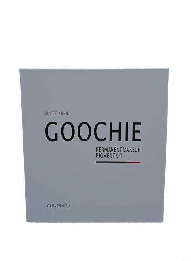 Goochie Permanent Makeup Pigment Kit Set-3 (Eyebrow/Eyes/Lip) - Image 4