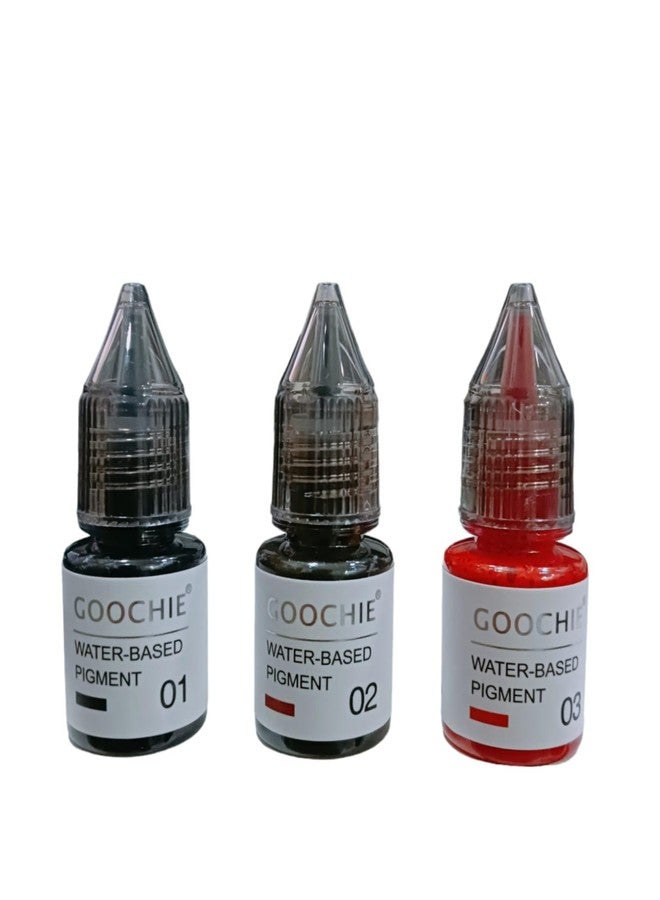 Goochie Permanent Makeup Pigment Kit Set-3 (Eyebrow/Eyes/Lip) - Image 5