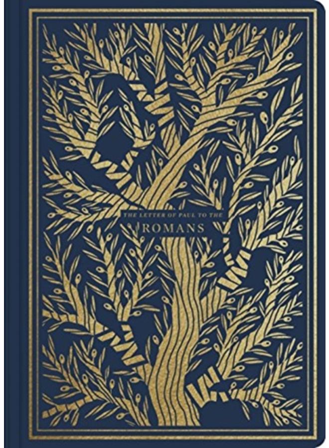 ESV Illuminated Scripture Journal : Romans (Paperback) 