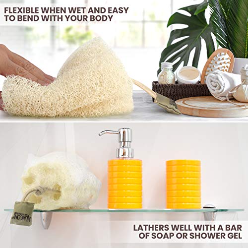 Almooni Egyptian Loofah Exfoliating Body Scrubber, Natural Real Egyptian Shower Loofah Sponge Body Scrubber for Women and Men, for Body and Face That Will Get You Clean - 3 Count (1 Pack) - Image 4
