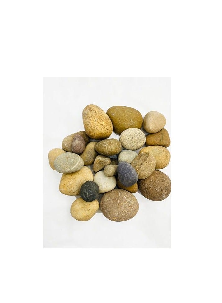 Generic Mixed Color Polished 3-5 mm Pebbles Natural Decorative Smooth River Rocks, Size Medium Pebble Stone for Succulent, Bonsai, Potted Plants, Landscaping, Fairy Garden, Aquarium (5 kg) 