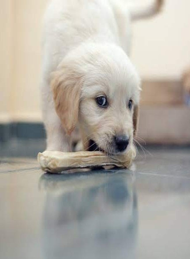 Petlicious & More Rawhide Bones for Dogs - 5 Inch Pressed Calcium Chew Bone for Puppy - Dog Treat (Pack of 30) - Image 2