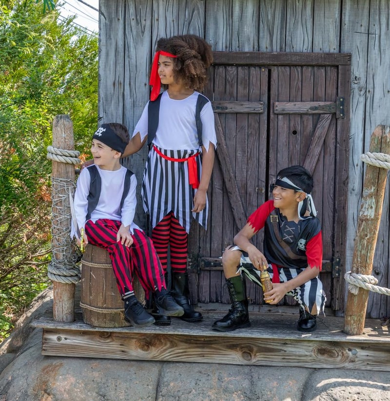 Rubies Halloween Concepts Children's Costumes Pirate King - Large - Image 2