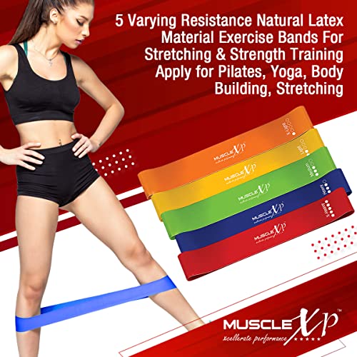 MuscleXP DrFitness+ Resistance Loop Band Set of 5, Exercies Bands For Men & Women, Legs, Yoga, Body Bilding, Stretching, Toning Workout, Squats Exercise Usable in-Home & Gym - Image 4