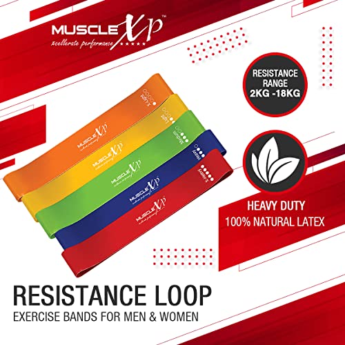 MuscleXP DrFitness+ Resistance Loop Band Set of 5, Exercies Bands For Men & Women, Legs, Yoga, Body Bilding, Stretching, Toning Workout, Squats Exercise Usable in-Home & Gym - Image 2