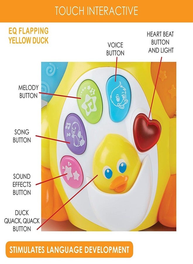 Hola Musical Duck Toy for Babies and Toddlers - Image 4