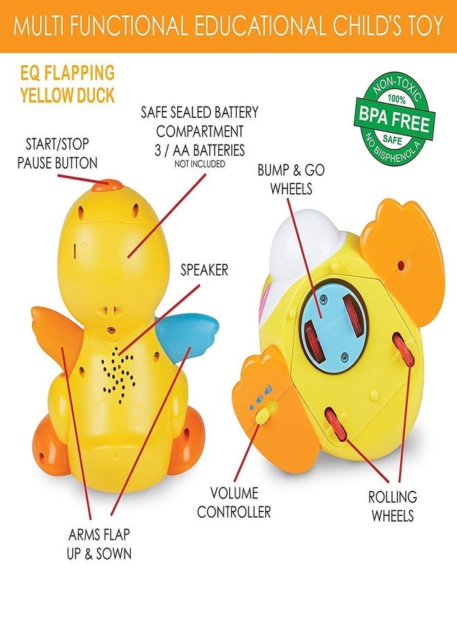 Hola Musical Duck Toy for Babies and Toddlers - Image 3