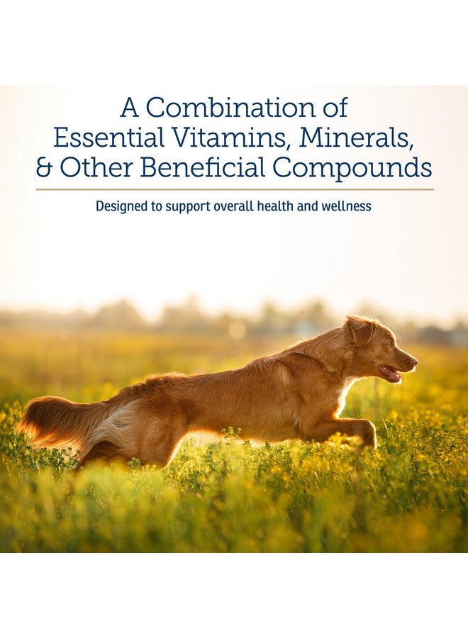 Rx Vitamins Nutritional Support - A Combination of Essential Vitamins, Minerals, & Other Beneficial Compounds for Dogs and Cats - 9.07oz - Image 3