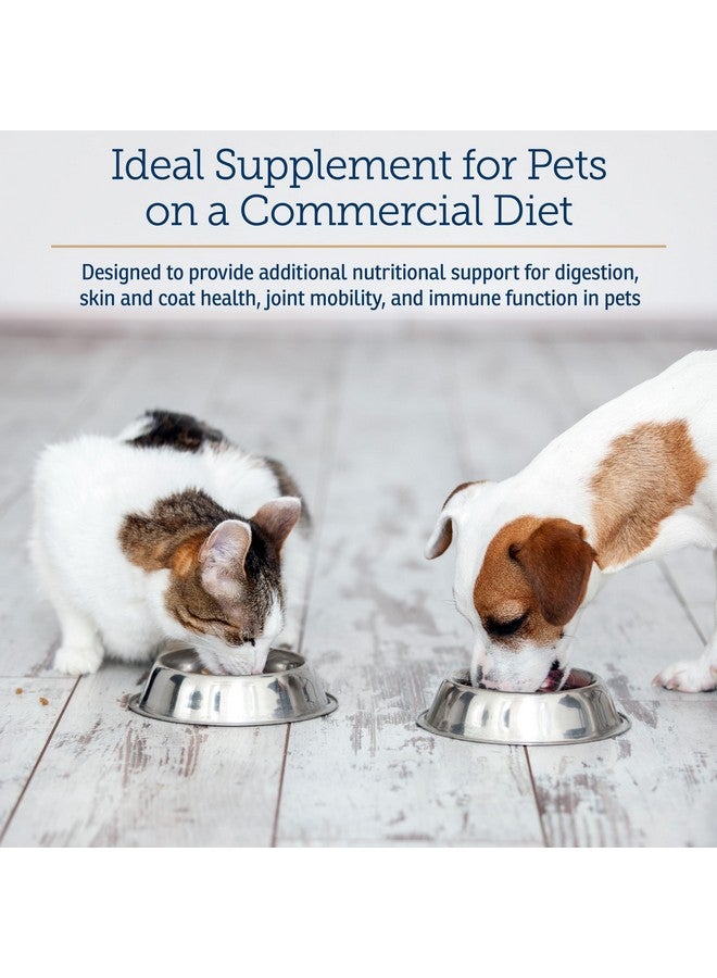 Rx Vitamins Nutritional Support - A Combination of Essential Vitamins, Minerals, & Other Beneficial Compounds for Dogs and Cats - 9.07oz - Image 4