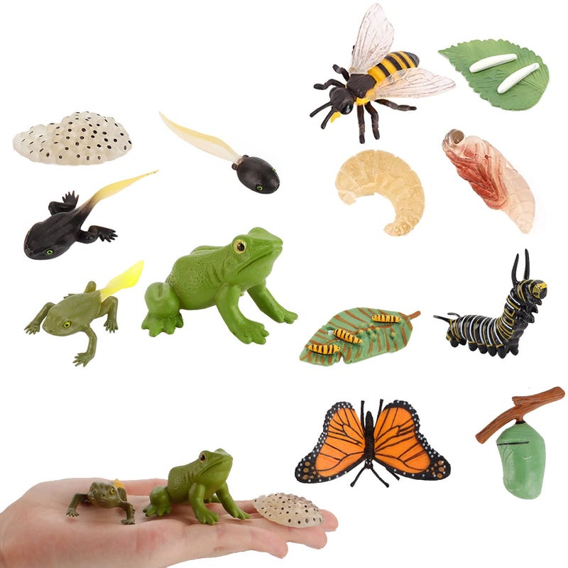 JOKFEICE 13pcs Insect Toys Life Cycle of Butterfly, Honey Bee & Frog Action Model, Plastic Bug Figurines Toy, Early Educational Toys Science Project Christmas Birthday Gift for Kids - Image 1