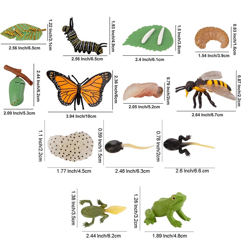 JOKFEICE 13pcs Insect Toys Life Cycle of Butterfly, Honey Bee & Frog Action Model, Plastic Bug Figurines Toy, Early Educational Toys Science Project Christmas Birthday Gift for Kids - Image 2