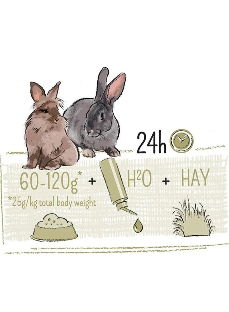 ويت مولين أرنب مولين بور الحساس [الوزن - 3 كجم] - Image 2