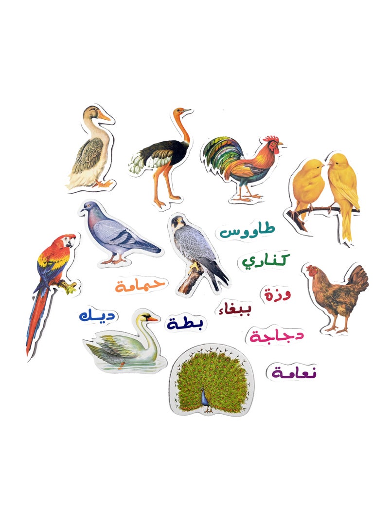 خشب الطيور مثبتة بمغناطيس بالخلف - Image 2