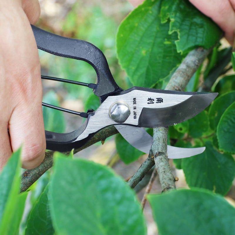 KAKURI Japanese Pruning Shears for Gardening Heavy Duty 8", Made in JAPAN, Professional Garden Bypass Pruners with Leather Sheath, Hand Forged Japanese Carbon Steel, Black - Image 4