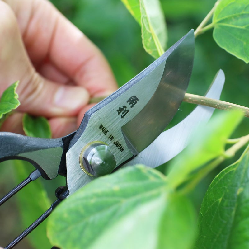 KAKURI Japanese Pruning Shears for Gardening Heavy Duty 8", Made in JAPAN, Professional Garden Bypass Pruners with Leather Sheath, Hand Forged Japanese Carbon Steel, Black - Image 5