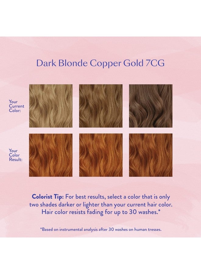 esalon Permanent Hair Color & Hair Dye Complete Kit Dark Blonde Copper Gold Personal Colorist Kit For Up To 100% Gray Coverage For All Hair Types Professionalgrade Ammoniafree Hair Dye - Image 4
