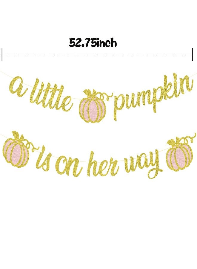 MZ.ogm A Little Pumpkin is On Her Way Fall Baby Shower Banner Little Pumpkin Baby Shower Decorations for Girl - Image 5