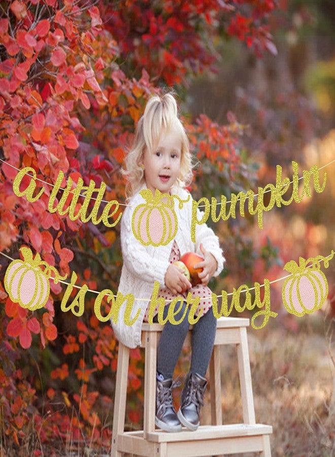 MZ.ogm A Little Pumpkin is On Her Way Fall Baby Shower Banner Little Pumpkin Baby Shower Decorations for Girl - Image 2
