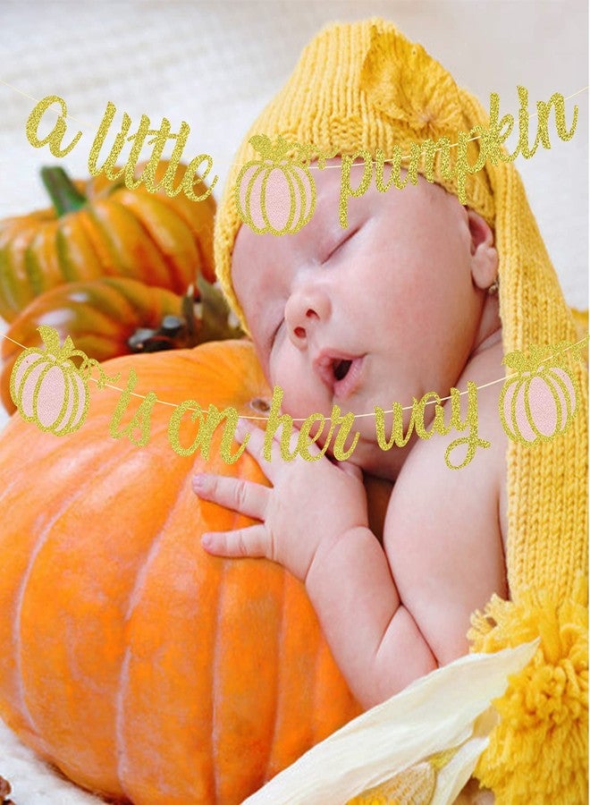 MZ.ogm A Little Pumpkin is On Her Way Fall Baby Shower Banner Little Pumpkin Baby Shower Decorations for Girl - Image 3