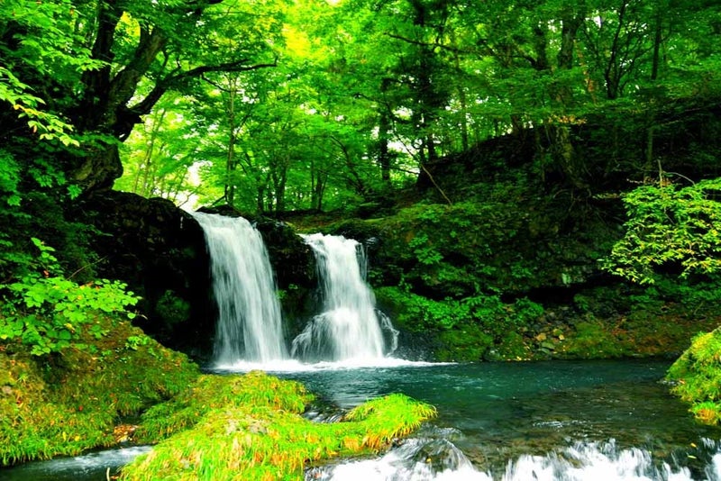 wallpicsBeautiful Nature Waterfall vastu Painting Poster Waterproof Vinyl Sticker Poster for Home Decor 12X18 inches can14861