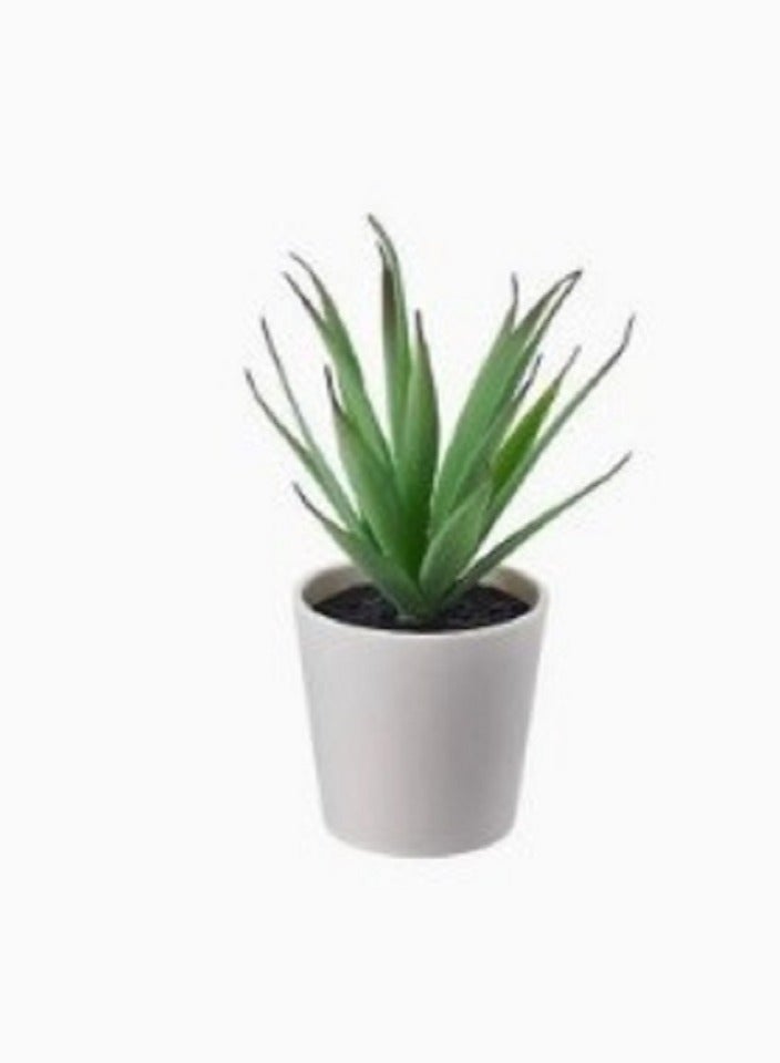 Artificial plant with external inner pot Succulent tree size 6 cm - Image 1