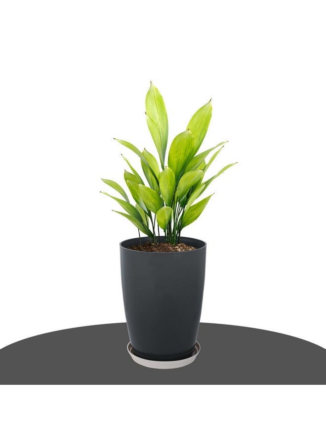 Kuber Industries Pack of 4 Flower Pot with Plate | 14 Inch Flower Pot for Home-Office & Garden | Indoor-Outdoor Plants Stand for Décor | Flower Gamla for Balcony | Plain Tower | Grey & White - Image 2