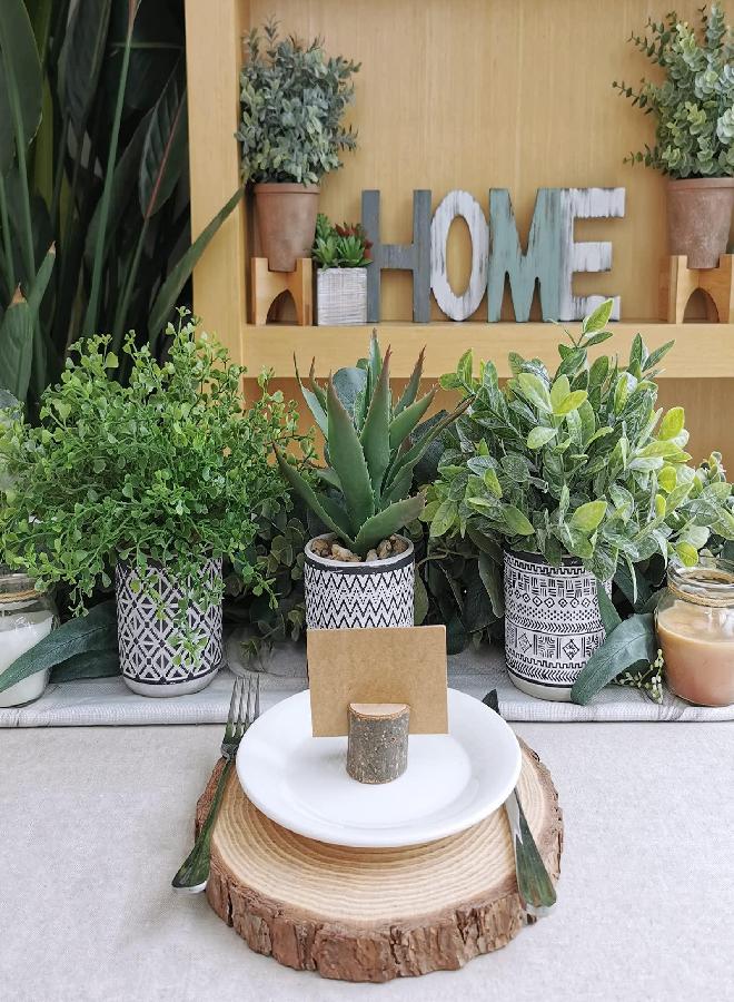 Winlyn Set of 3 Assorted Small Potted Plants Fake Eucalyptus Boxwood Plants Aloe Succulent Plant in Black and White Geometric Pots for Table Centerpiece Windowsill Shelf Indoor Outdoor Garden Greenery Decor  - Image 2