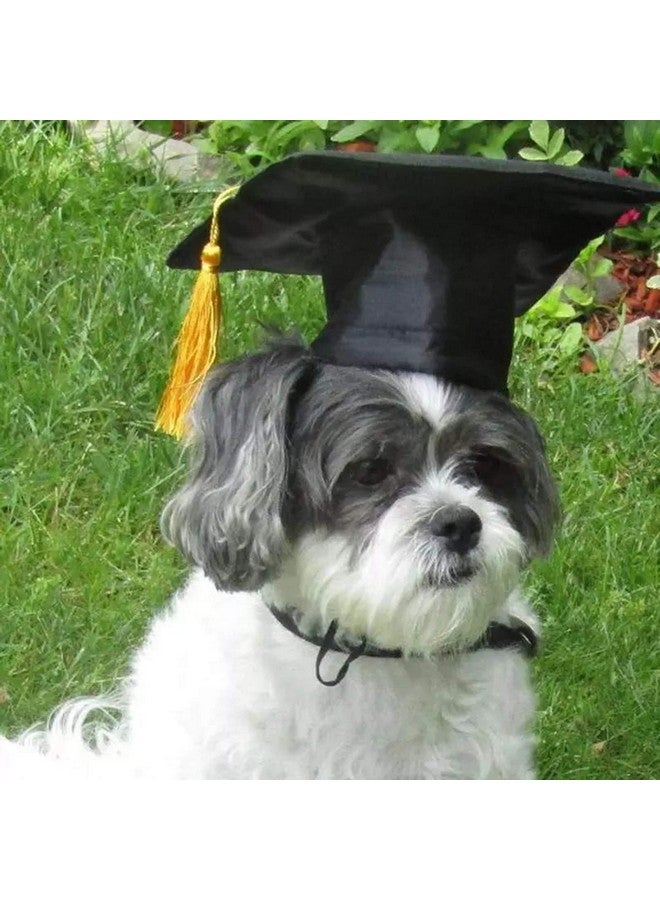 BinaryABC Pet Graduation Caps Dog Graduation Hats with Yellow Tassel,Dogs Cats Graduation Costume Accessory - Image 4