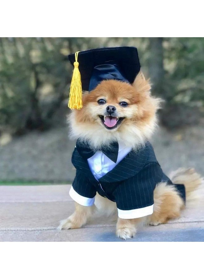 BinaryABC Pet Graduation Caps Dog Graduation Hats with Yellow Tassel,Dogs Cats Graduation Costume Accessory - Image 3