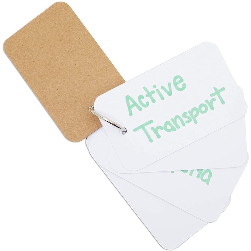 Infinite Curiosity Blank Flash Cards - Notecards with Ring - Portable Mini Flashcards for Studying - Heavy 250 GSM Index Cards - Pack of 8, 400 Count, 2.2 x 3.5 in, White - Image 2