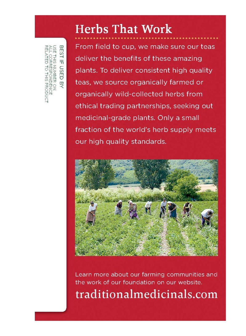 Tm Traditional Medicinals Teas Organic Echinacea Plus Elderberry Tea, Elder 16 Bags (Pack Of 1) - Image 3