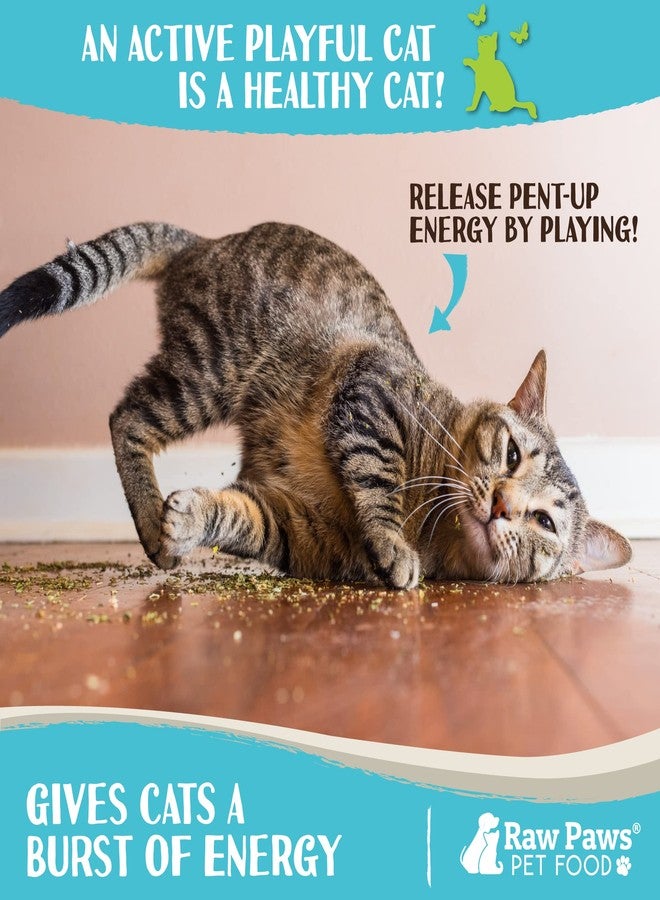 Raw Paws Fresh Catnip for Cats, 1-oz (2 Cups) - Use for Refillable Catnip Toys for Cats - Natural Dried Cat Nip - Image 5