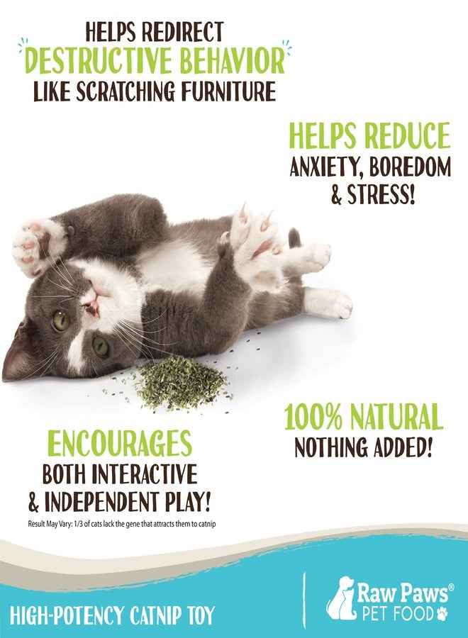 Raw Paws Fresh Catnip for Cats, 1-oz (2 Cups) - Use for Refillable Catnip Toys for Cats - Natural Dried Cat Nip - Image 2