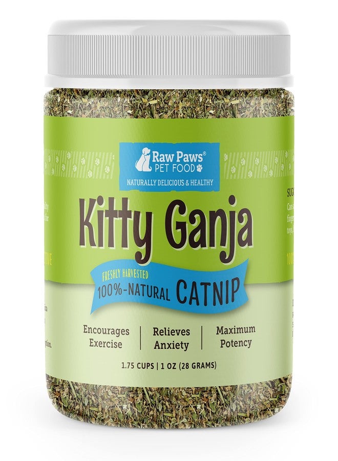 Raw Paws Fresh Catnip for Cats, 1-oz (2 Cups) - Use for Refillable Catnip Toys for Cats - Natural Dried Cat Nip - Image 1